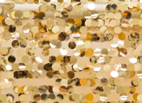 Gold-Payette-Backdrop-01