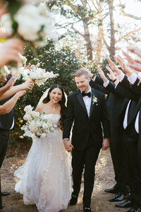 bride and groom with wedding party