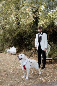 Daven-Casey-Wedding-Photography-Langtons-Hotel-Kilkenny-204