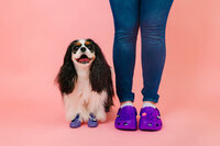 sacramento-pet-portrait-62