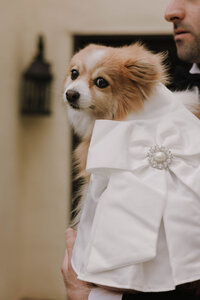 JMRenataAmazonasSanDiegoWeddingPhotographer-634