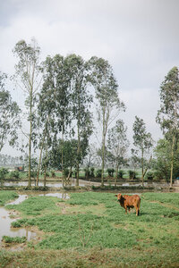 destination-wedding-vietnam-20