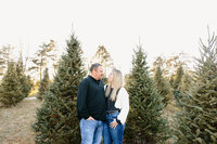 family mini christmas spring fall sessions maternity photographer photography stuarts draft waynesboro charlottesville staunton55