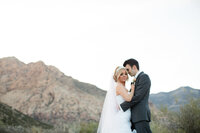wppi1-25