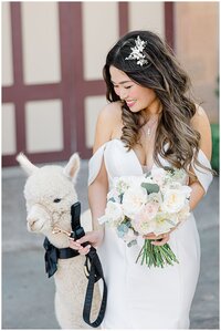 napa-wedding-photography_0033