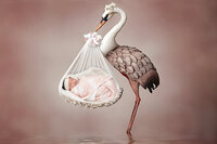 4Karma Studio - A creative fine art newborn portrait in Los Angeles featuring a whimsical stork holding a baby, captured with true-to-life tones.
