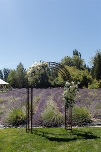 Woodinville_Lavender_Wedding_Lauren_New_Photography-1_websize