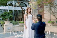 Isaac-Vanessa-Proposal-Previews-34