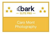 bark elite pro photographer carolina montes