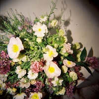 FloralsByLyd2025FILM-37