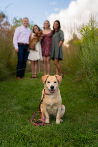 melmarie-photography-family-portraits-west-bend-wi.jpg-080