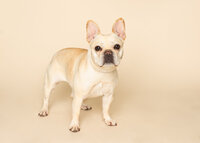 MTP_0572-Edit