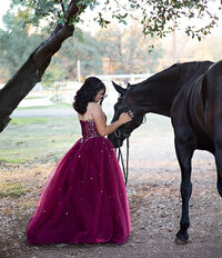 Northern California Equine Portraits