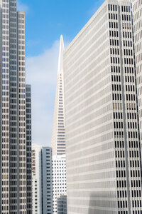 san francisco wedding venue skyscraper view