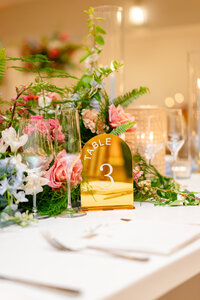 Anshu&Dhruv_Wedding-789