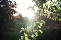 220622-ninapettenberg-soulful-innerbalancecoach-50
