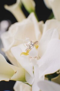 JasminePaulWedding-27_websize