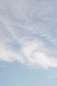240518ALEGAB_adv0186