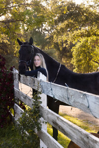 Northern California Equine Portraits