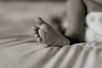 VBbaby-3