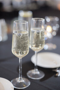 ElizabethWestPhotography-MackenWedding-2415