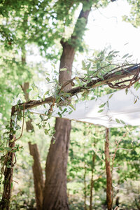 Wood and greenery shape the arch