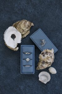 Deborah Zoe Photography. Boston Wedding Photographer. Cape Cod Wedding, New England Wedding. New England Wedding Photographer.