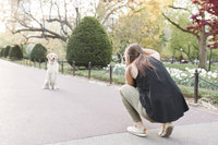 Dog photographer taking pictures of dog in Boston Public Garden