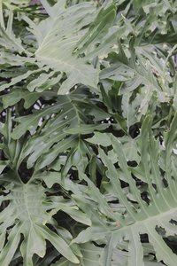 IMG_3895