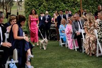 adelaide-wedding-photographer-golding-wines-gallery-91