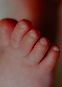 RLP_0069