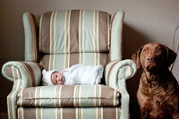 sacramento pet photographer, pet photographer sacramento, pet photos, pet photography, san francisco pet photos, pet photo sessions, pet photographer, pet photos sacramento, pet photos san francisco, family pet photos, family pet photo sessions