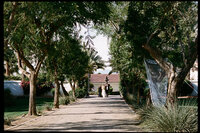 outdoor-wedding-ceremony-california