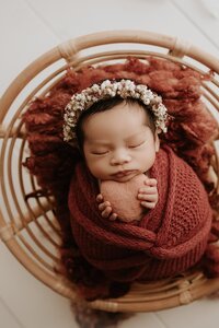Sacramento, Elk Grove, Florin, Vineyard, Roseville, Davis, Rancho Cordova, East Sacramento, Cameron Park, Folsom, Antelope Newborn Photographer, Baby Photographer, A Little Goose