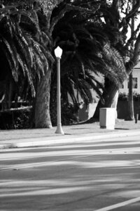 IMG_1113-2