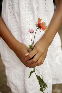 Hands of a young girl holding a wild flower