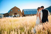 Strawberry Ranch Wedding-832