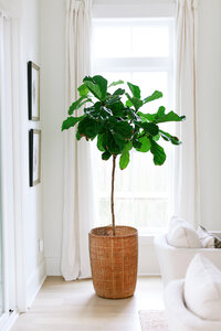 home-interiors_Social-Squares_Styled-Stock_0105