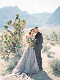 Las Vegas Engagement Red Rock Caynon