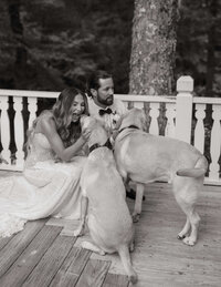 Bride and groom share an emotional first look as their three dogs excitedly run toward them at their luxury wedding at Old Edwards Events in Highlands, NC.