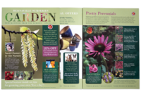 Leaflet_design