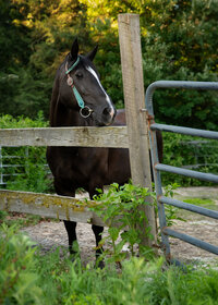 Senior-Portraits-Wallingford-CT-13