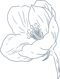 crater lake oregon elopement