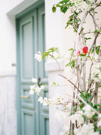 white bougainvillea vine in foreground with pretty teal door in background