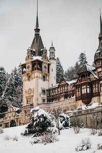 pexels-monica-turlui-7218645