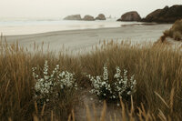 wedding-elopement-photos-han-kat-studio-pnw-portland-oregon-coast-21