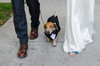 Chicago Wedding Photographer