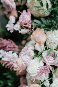 Close up of pink and purple roses