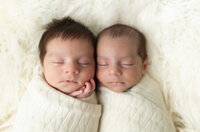 newborn sleeping twins touching heads in Newborn Photographer Sterling Heights MI
