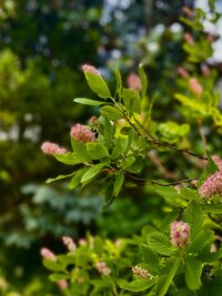 IMG_0790